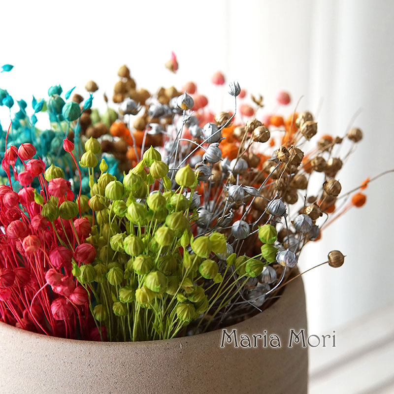 Dried Flower Bulk - 5g/Konservierte Flachsbohnen Natürliche Echte Blumen Bunte