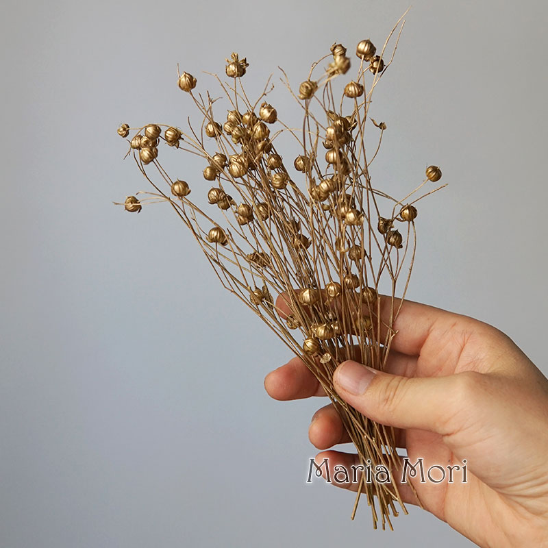 5g/Konservierte Flachsbohnen N – Dried Flower Bulk Bewertung und Preis