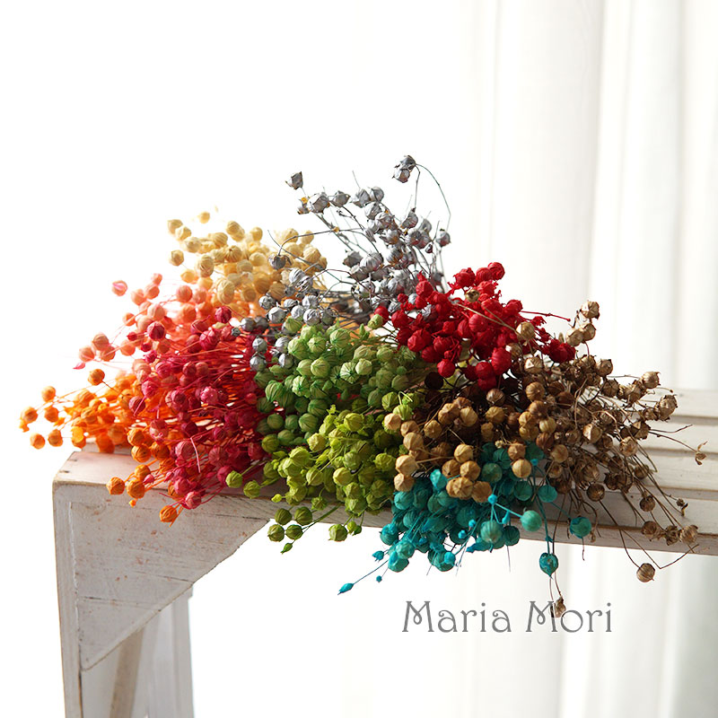 5g/Konservierte Flachsbohnen N – Dried Flower Bulk Bewertung und Preis