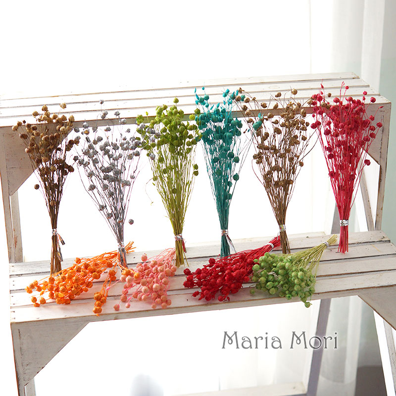 5g/Konservierte Flachsbohnen N – Dried Flower Bulk Bewertung und Preis