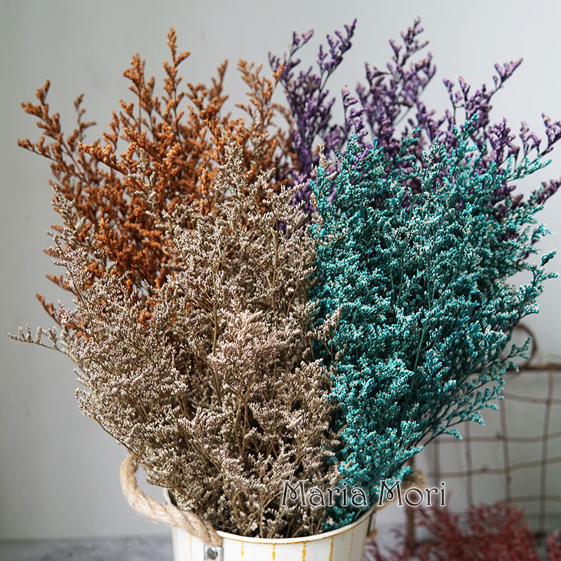 70g/Konserviertes Valentinstag – Dried Flower Bulk Bewertung und Preis