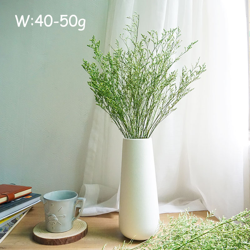 70g/Konserviertes Valentinstag – Dried Flower Bulk Bewertung und Preis