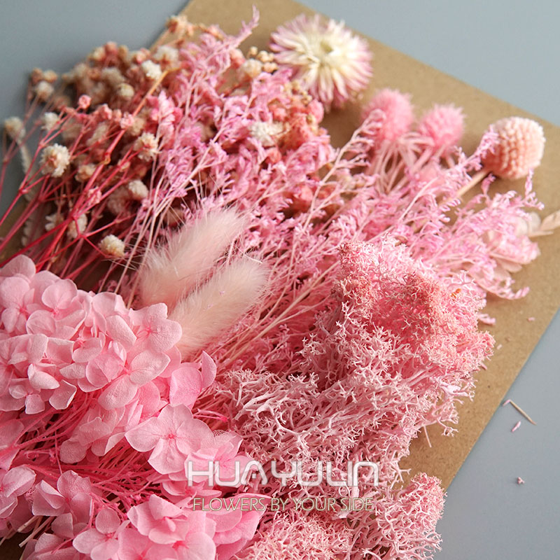 1 Packung künstliche Pflanzen, – Dried Flower Bulk Bewertung und Preis