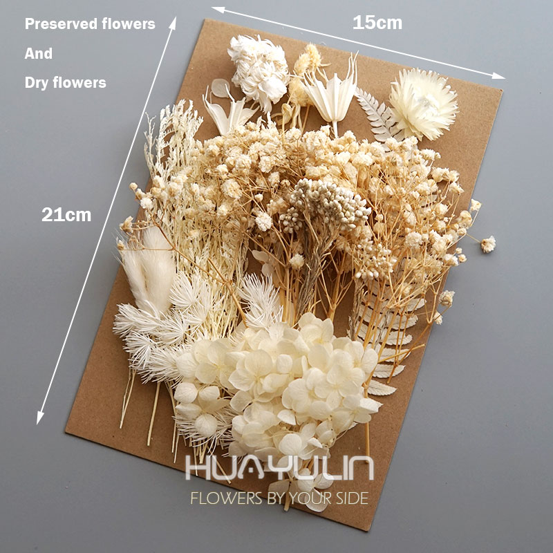 1 Packung künstliche Pflanzen, – Dried Flower Bulk Bewertung und Preis